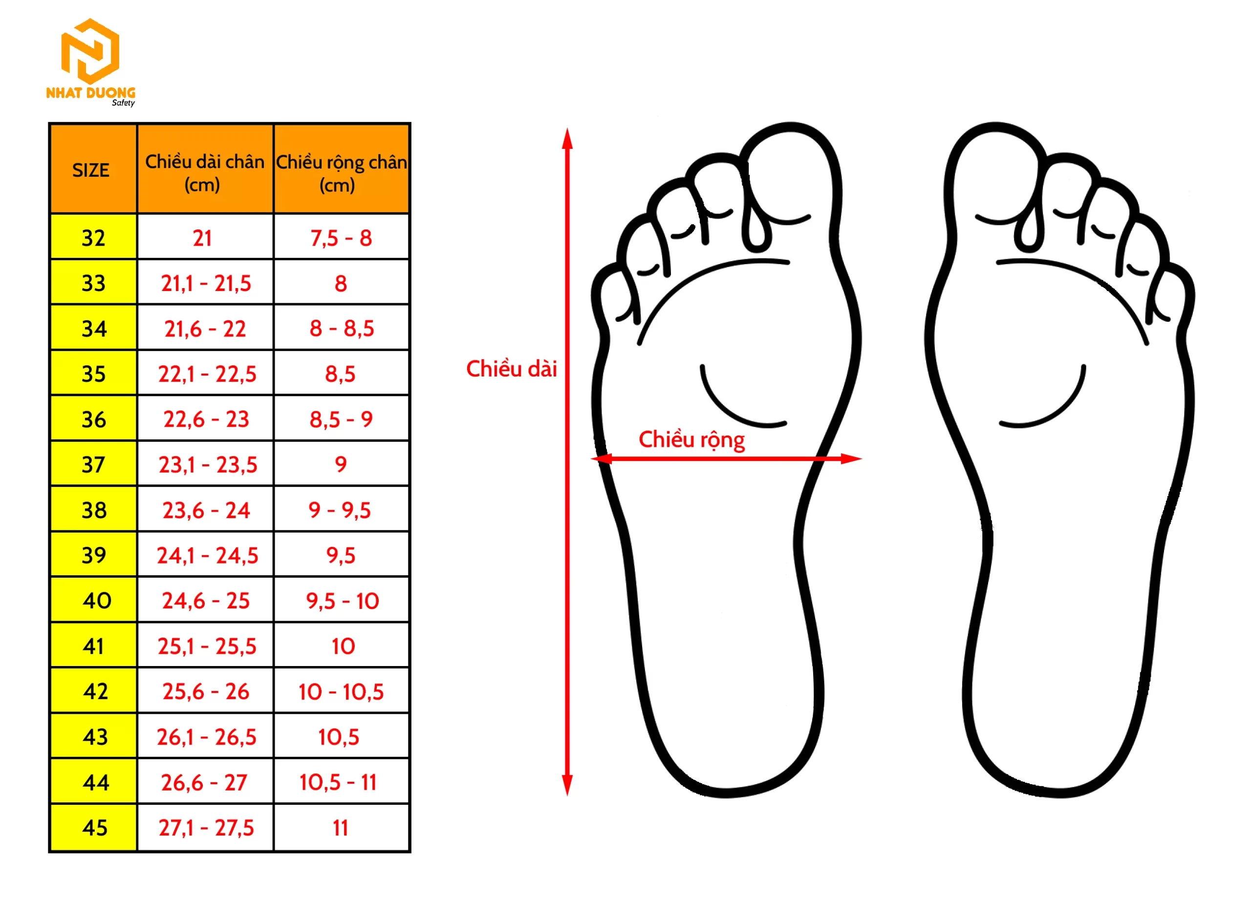 hướng dẫn chọn size giày tại nhà